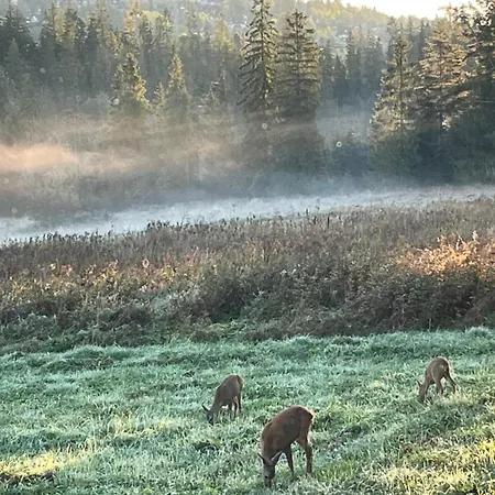 Alpesi faház Fox House Z Prywatna Balia Elektryczna Na Wylacznosc *