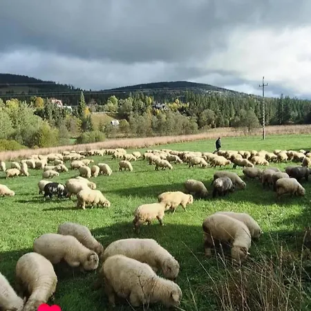 Fox House Z Prywatna Balia Elektryczna Na Wylacznosc * Kościelisko